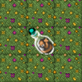 Thumbnail for version as of 09:49, 31 October 2025