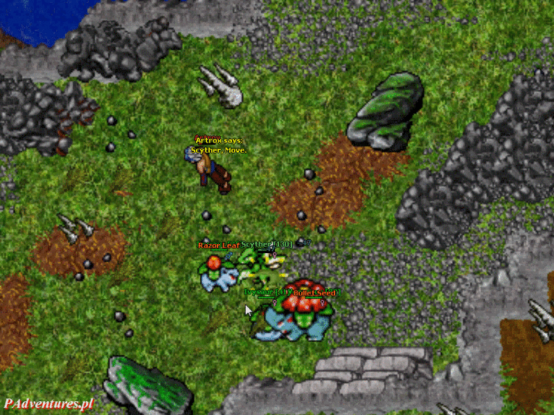 File:Bug buzz.gif